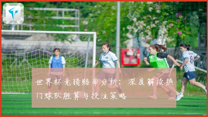 世界杯竞猜赔率分析：深度解读热门球队胜算与投注策略
