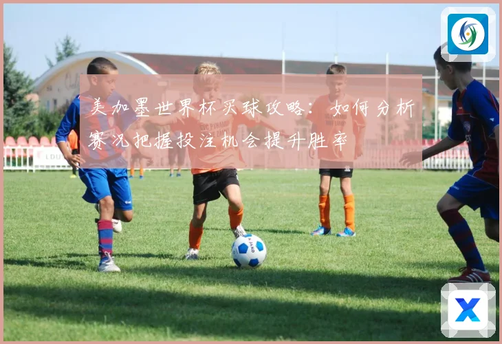 美加墨世界杯买球攻略：如何分析赛况把握投注机会提升胜率