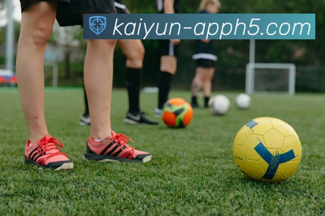 开云手机登录入口安全快速访问指南及常见问题解析